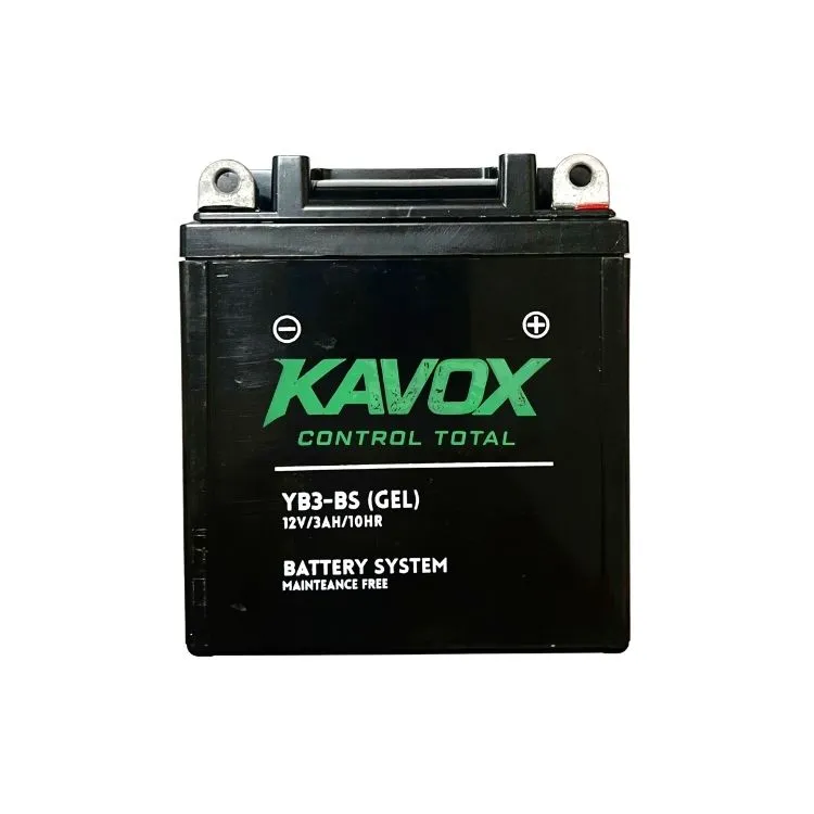 Batería YB3